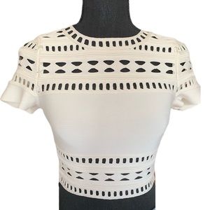 Herve Leger Gigi Crop Top
